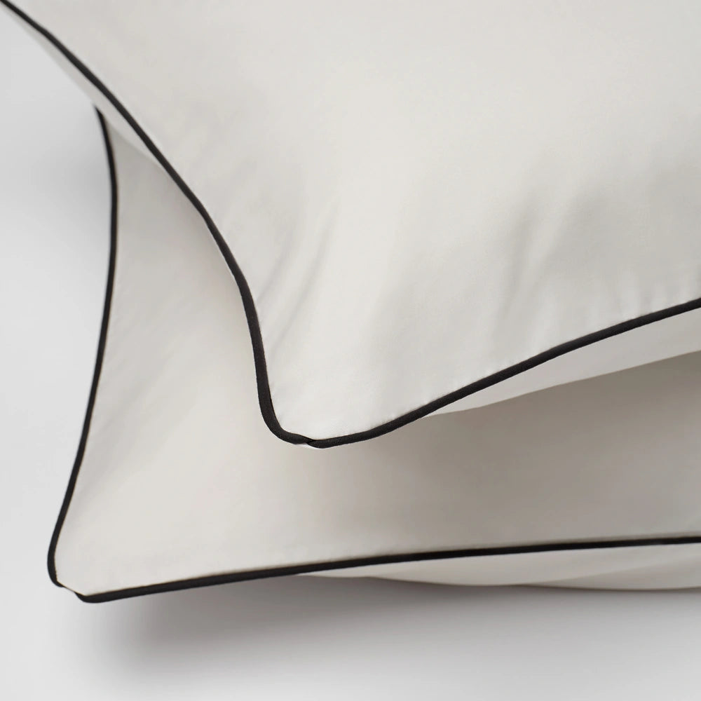 Morning Fog with piping